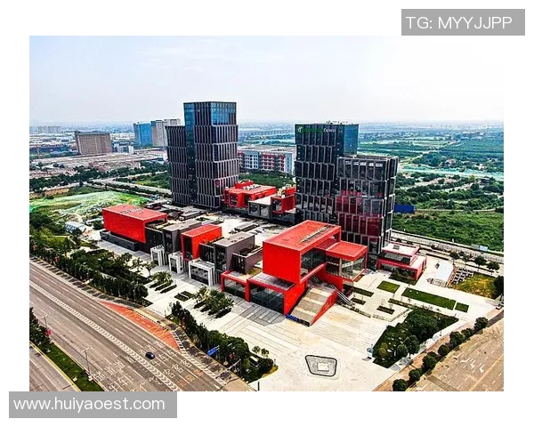 西安羽毛球队转型之路的得与失分析与展望